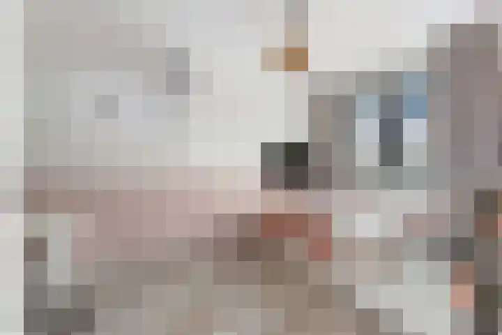 Citroengaarde 11 Hendrik-Ido-Ambacht thumbnail 17