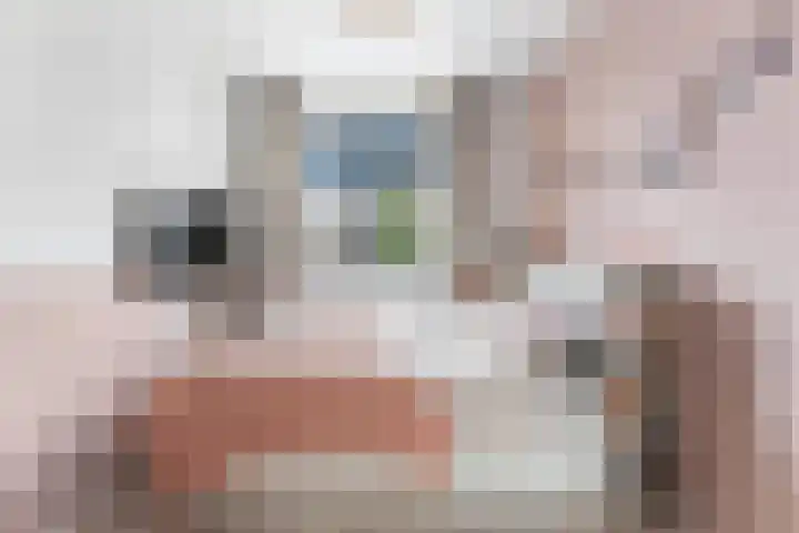 Citroengaarde 11 Hendrik-Ido-Ambacht thumbnail 18