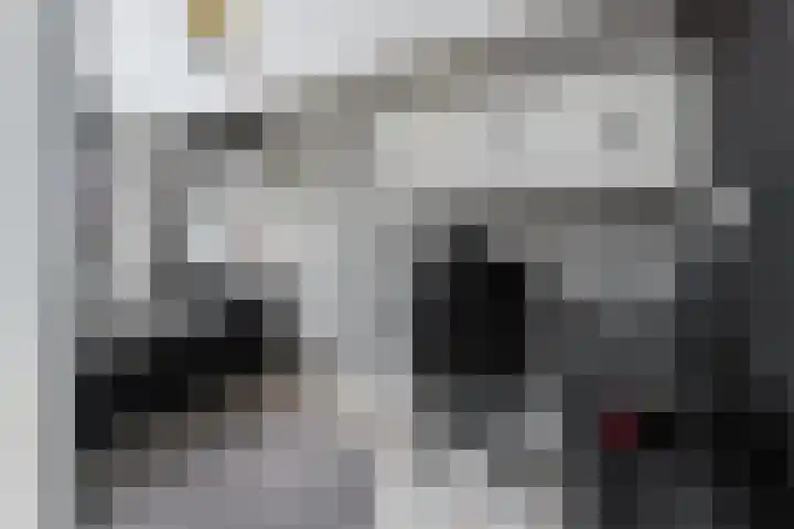 Citroengaarde 11 Hendrik-Ido-Ambacht thumbnail 19