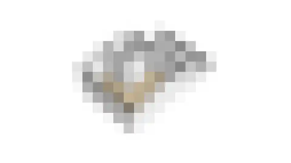 Citroengaarde 11 Hendrik-Ido-Ambacht thumbnail 7