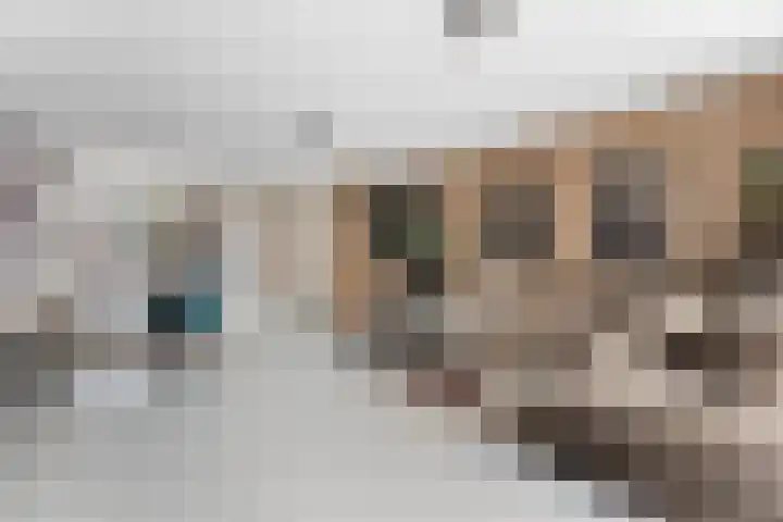 Citroengaarde 11 Hendrik-Ido-Ambacht thumbnail 8
