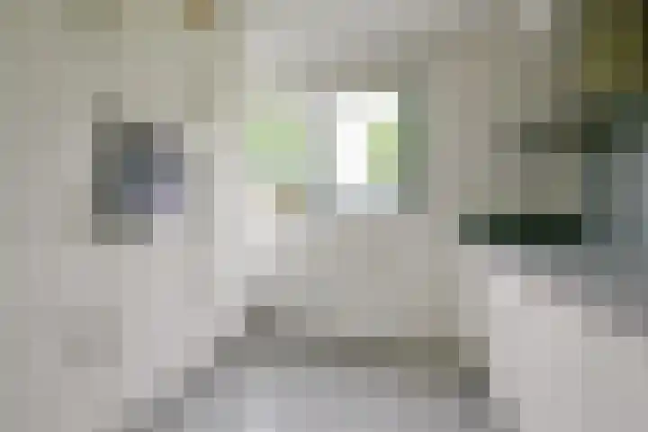 Citroengras 11 De Goorn thumbnail 10