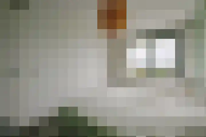 Citroengras 11 De Goorn thumbnail 15