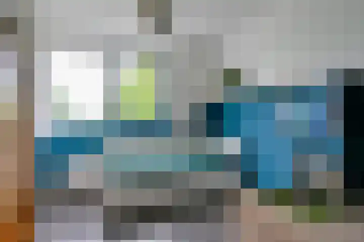 Citroengras 11 De Goorn thumbnail 16
