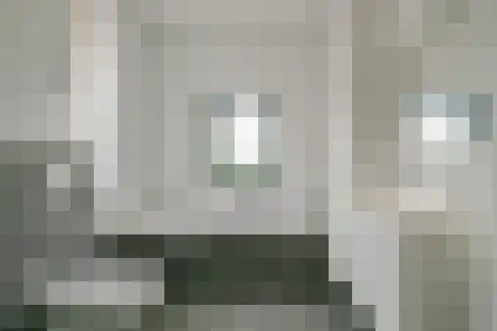 Citroengras 11 De Goorn thumbnail 18