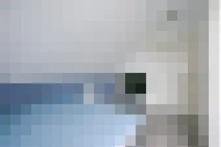 Citroengras 11 De Goorn thumbnail 21