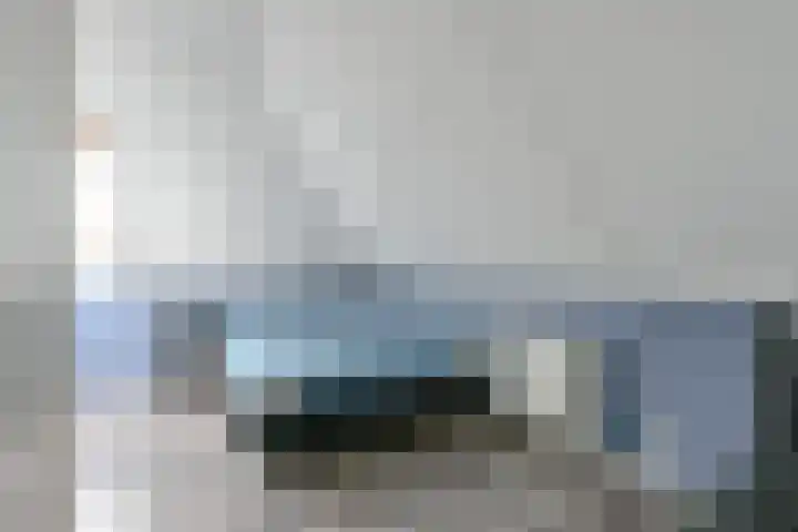 Citroengras 11 De Goorn thumbnail 22