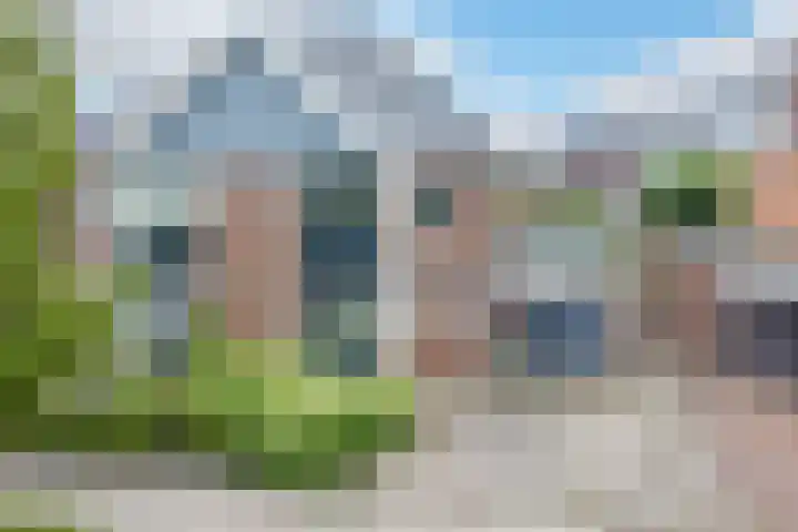 Citroengras 11 De Goorn thumbnail 33