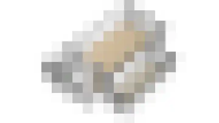 Citroengras 11 De Goorn thumbnail 35