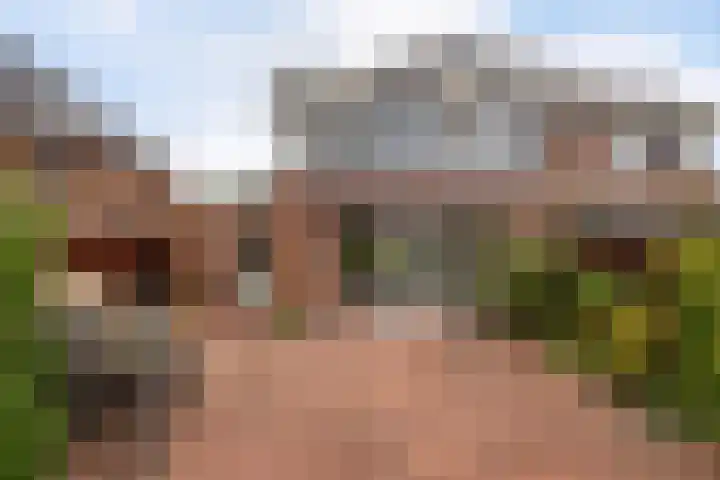 Citroengras 14 De Goorn thumbnail 32