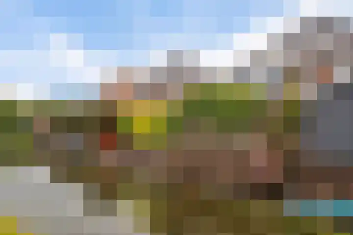 Citroengras 14 De Goorn thumbnail 34