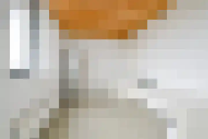 Citroengras 17 De Goorn thumbnail 33