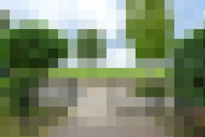 Citroengras 17 De Goorn thumbnail 4