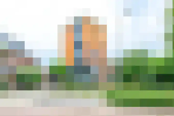 Citroengras 17 De Goorn thumbnail 47
