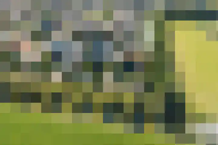 Citroengras 17 De Goorn thumbnail 51