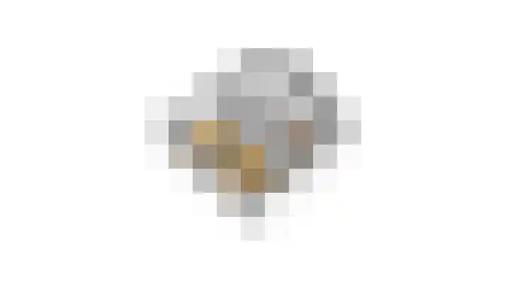 Citroengras 17 De Goorn thumbnail 60