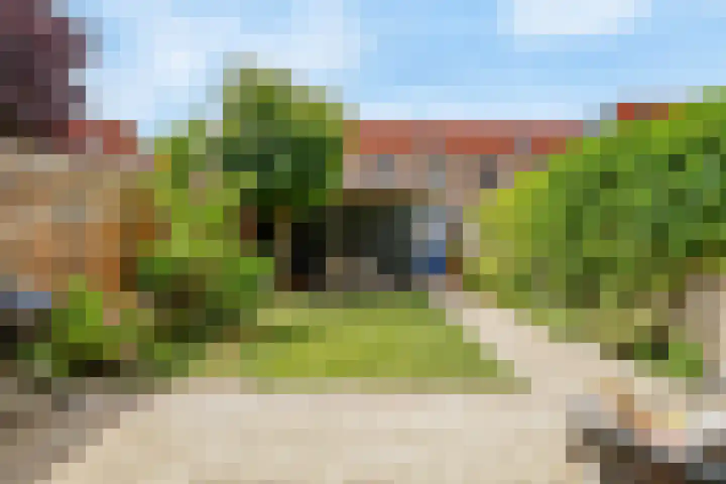 Citroenkruid 13 De Meern thumbnail 29