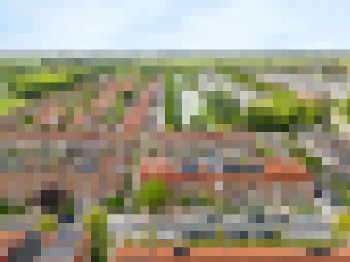 Citroenkruid 13 De Meern thumbnail 33