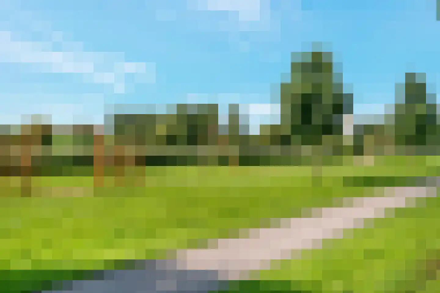 Citroenkruid 13 De Meern thumbnail 35