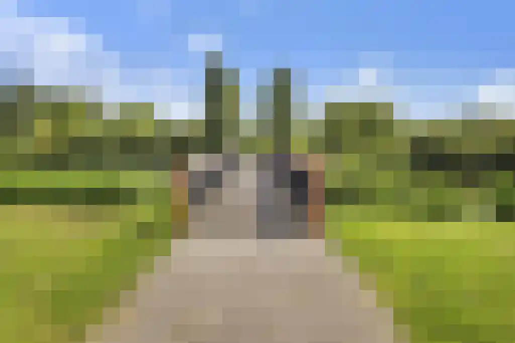 Citroenkruid 13 De Meern thumbnail 36