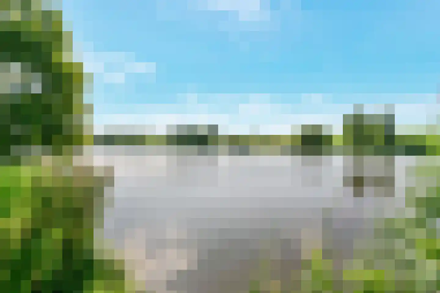 Citroenkruid 13 De Meern thumbnail 37