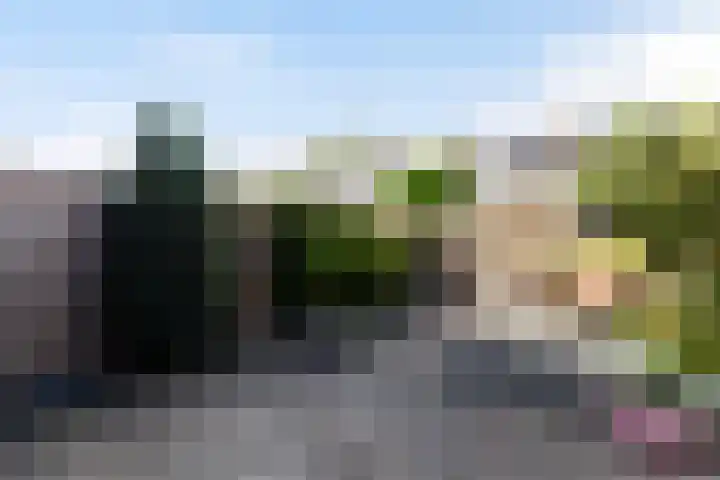 Citroenkruid 3 Rotterdam thumbnail 24