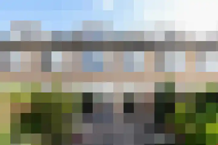 Citroenkruid 3 Rotterdam thumbnail 27