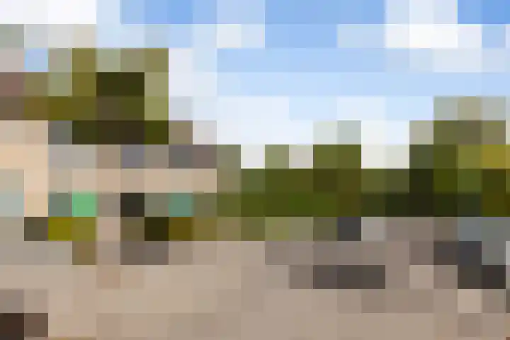 Citroenkruid 3 Rotterdam thumbnail 28