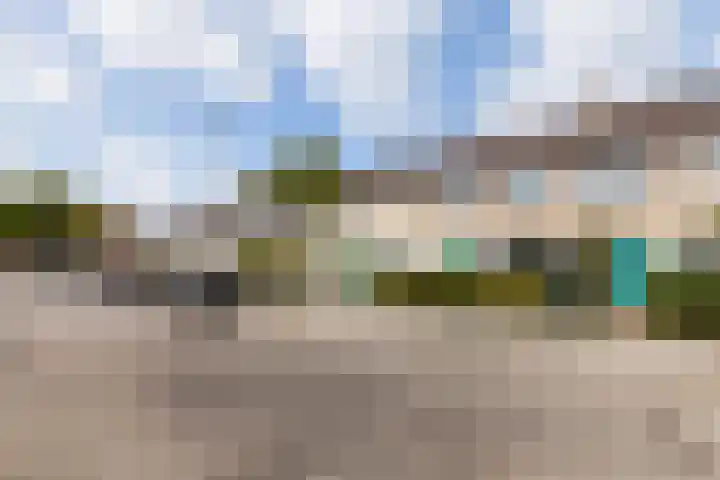 Citroenkruid 3 Rotterdam thumbnail 29