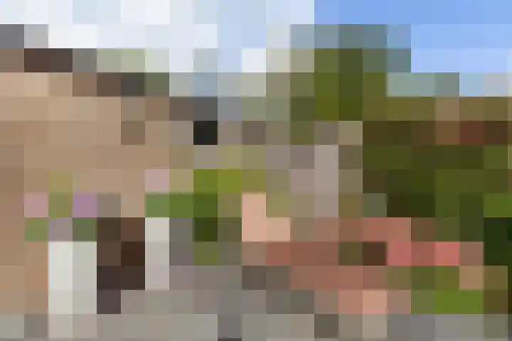 Citroenkruid 3 Rotterdam thumbnail 5