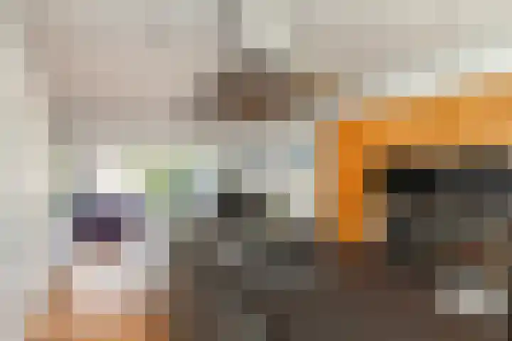 Citroenkruid 3 Rotterdam thumbnail 8