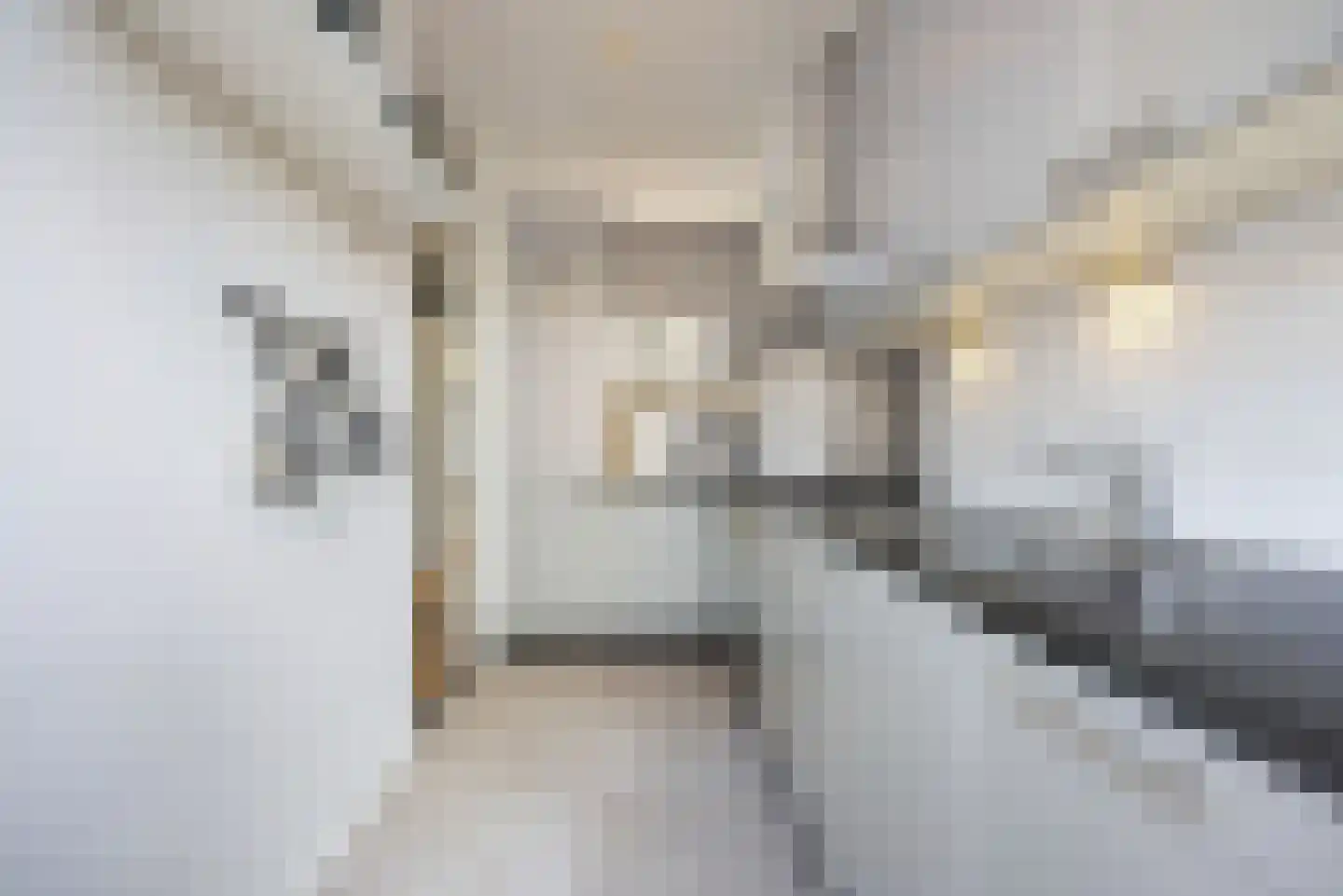 Citroenstraat 4 Den Haag thumbnail 9