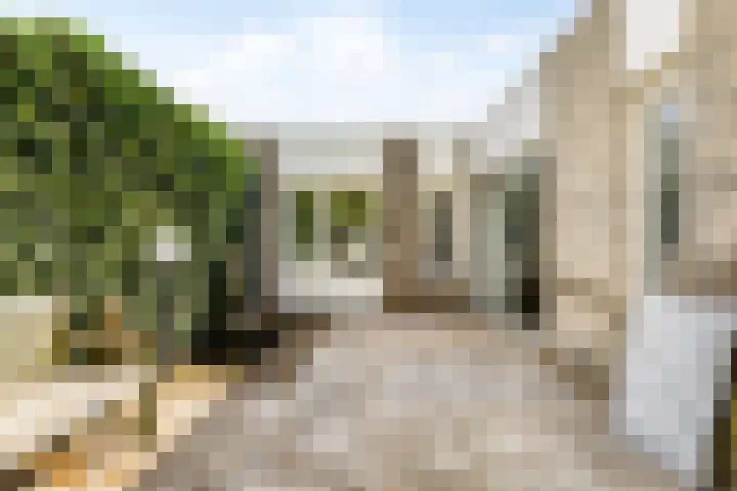 Citroenvlinder 1 Oss thumbnail 18