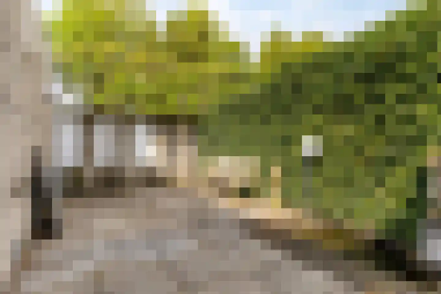 Citroenvlinder 1 Oss thumbnail 20