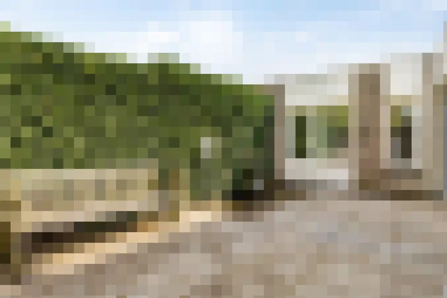 Citroenvlinder 1 Oss thumbnail 21