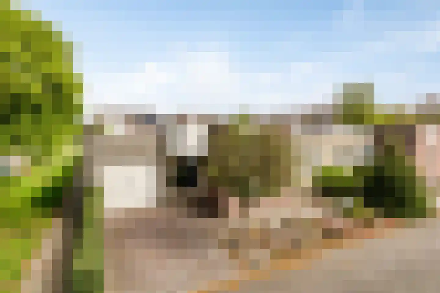 Citroenvlinder 1 Oss thumbnail 23