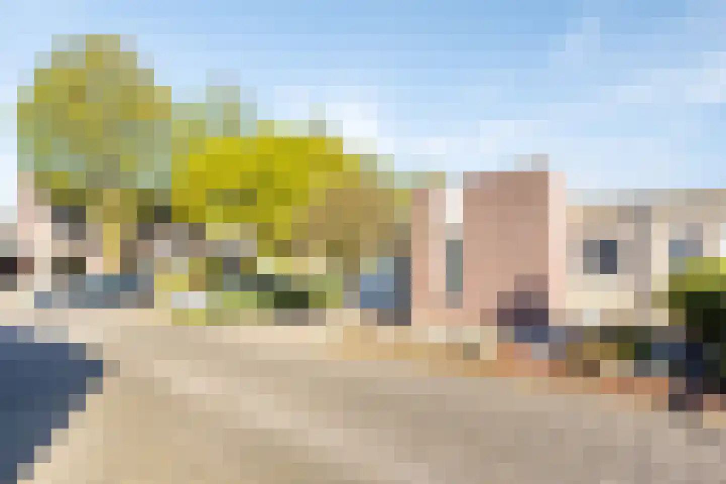 Citroenvlinder 1 Oss thumbnail 25