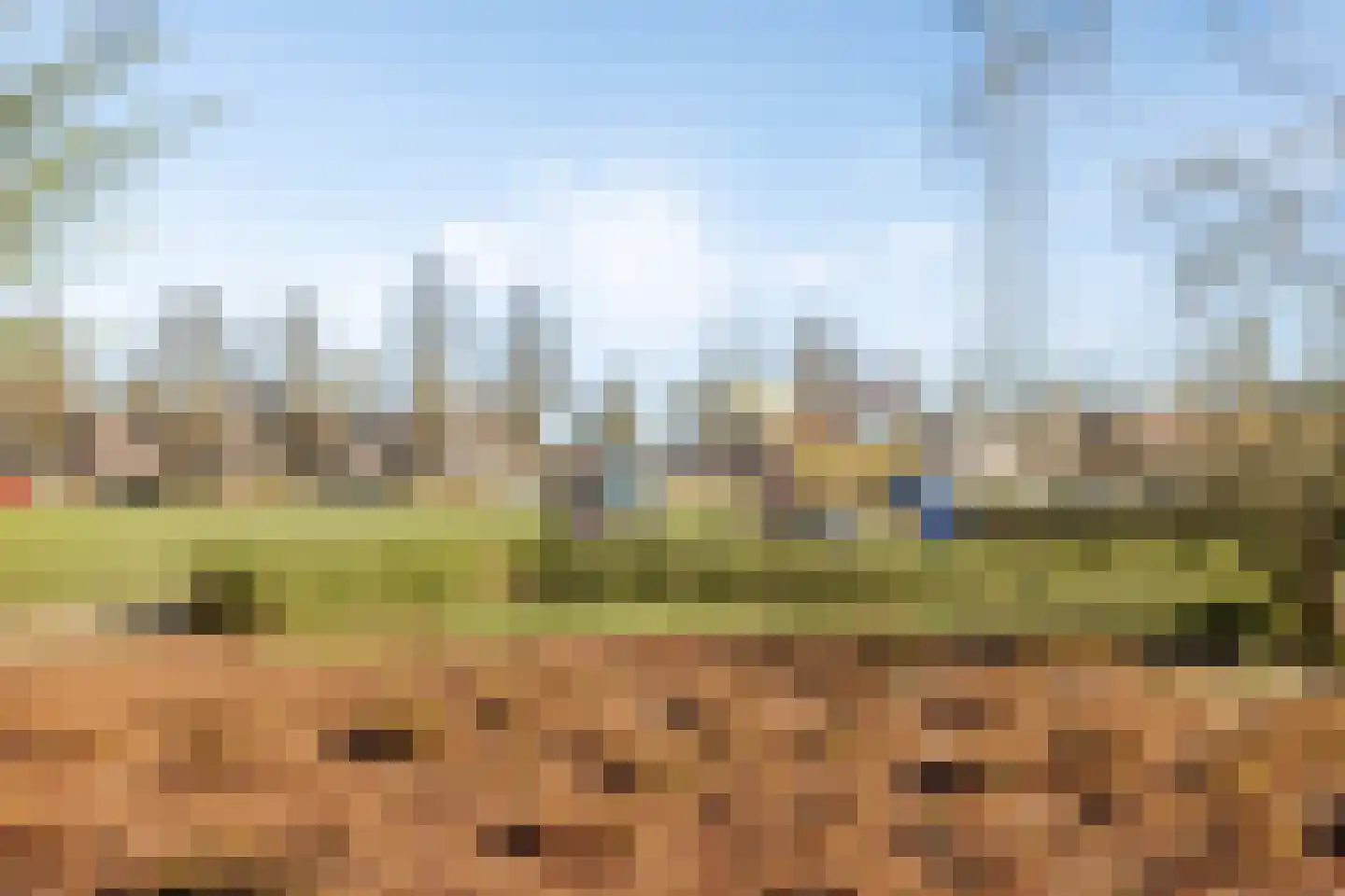 Citroenvlinder 1 Oss thumbnail 26
