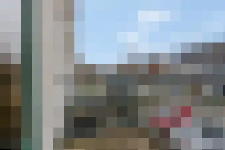 Citroenvlinder 10 Nijkerk thumbnail 10