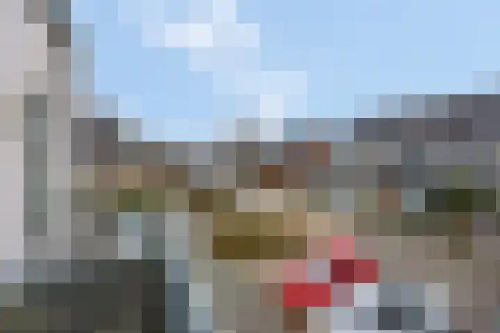Citroenvlinder 10 Nijkerk thumbnail 11