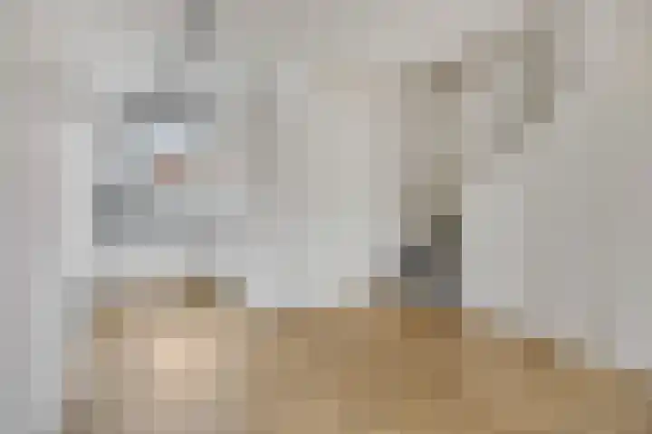 Citroenvlinder 10 Nijkerk thumbnail 12