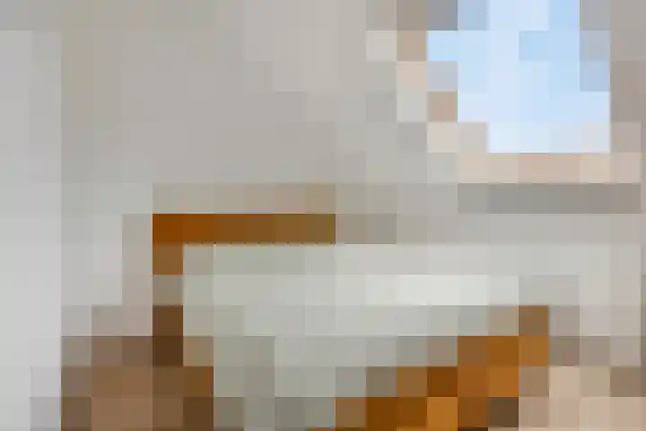 Citroenvlinder 10 Nijkerk thumbnail 19