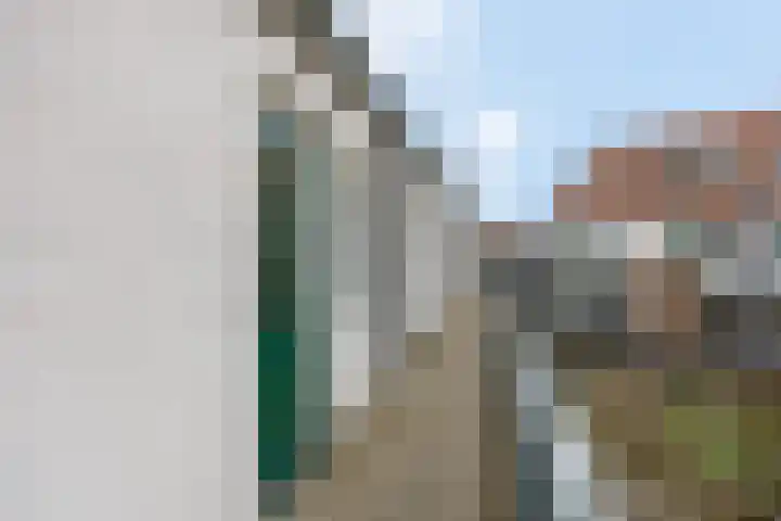 Citroenvlinder 10 Nijkerk thumbnail 28
