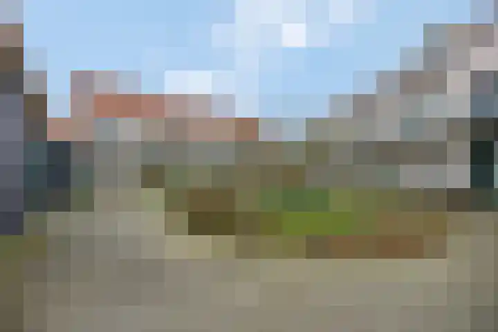 Citroenvlinder 10 Nijkerk thumbnail 30