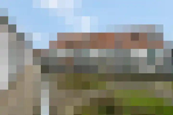 Citroenvlinder 10 Nijkerk thumbnail 31