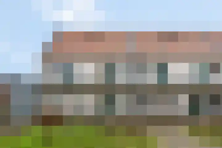 Citroenvlinder 10 Nijkerk thumbnail 32