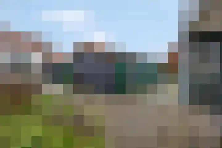 Citroenvlinder 10 Nijkerk thumbnail 34