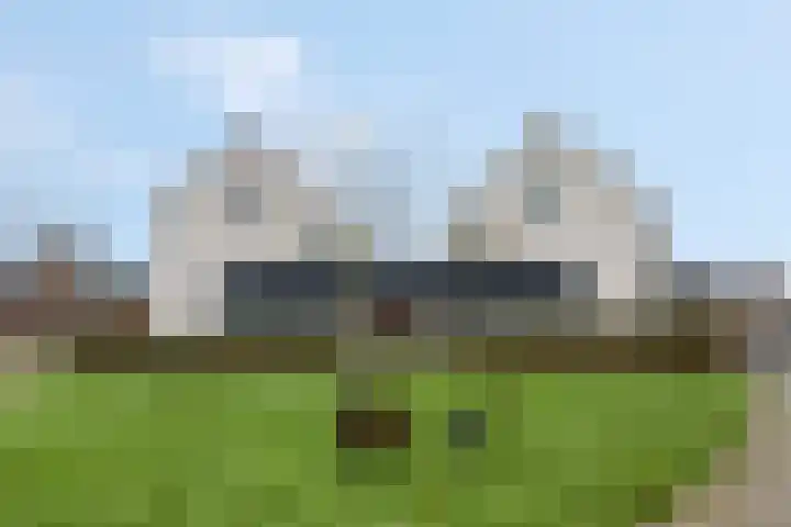 Citroenvlinder 10 Nijkerk thumbnail 36