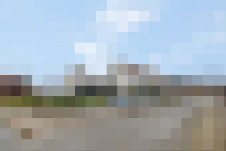 Citroenvlinder 10 Nijkerk thumbnail 37