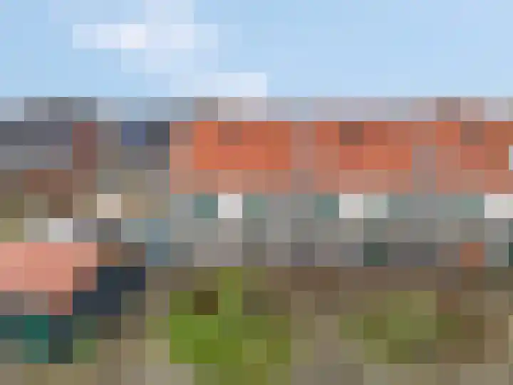 Citroenvlinder 10 Nijkerk thumbnail 38